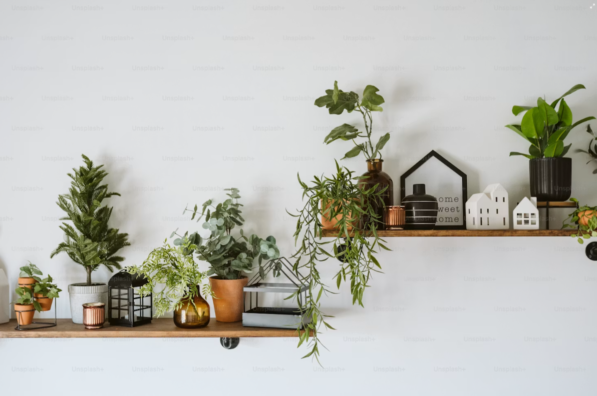 slider image 162080663620b95195-1